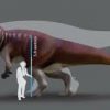 Fossil Footprints Show a Dinosaur as Big as a T. Rex Once Terrorised Australia