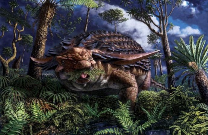 Fossilized stomach contents show armored dinosaur’s leafy last meal