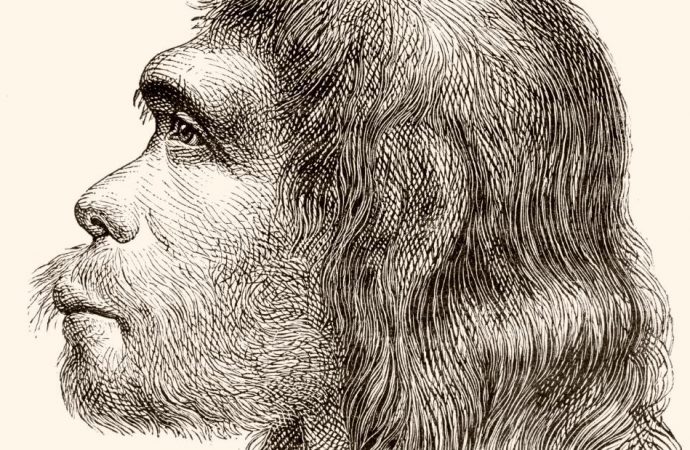 Scientists have grown mini brains containing Neanderthal DNA