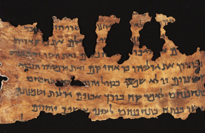 The Dead Sea Scrolls contain genetic clues to their origins