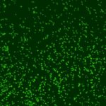 Biologists Revive 101.5-Million-Year-Old Microbes