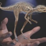 Fossils reveal dinosaur forerunner smaller than a cellphone