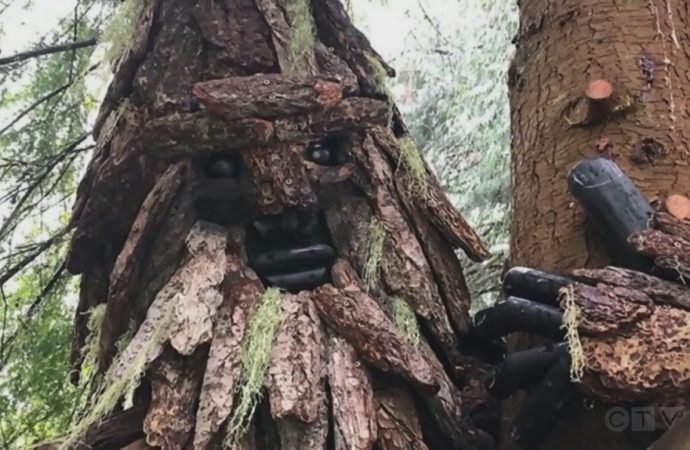 Search for Bigfoot in Sooke leads to discovery of multiple Sasquatch statues