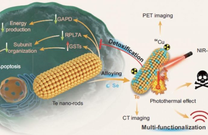 Biocompatible TeSex nano-alloys for PT/PA/CT/PET imaging-guided NIR-II-photothermal therapy