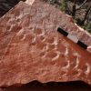 Cliff collapse reveals 313-million-year-old fossil footprints in Grand Canyon National Park