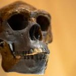 Mystery ancestor mated with ancient humans. And its ‘nested’ DNA was just found.