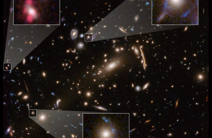 Dark matter models get most of the Universe right but fail in the details