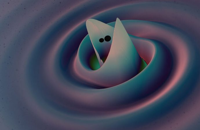 Record-breaking gravitational waves reveal that midsize black holes do exist