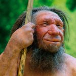 Scientists Sequence Y Chromosome DNA of Denisovans and Neanderthals