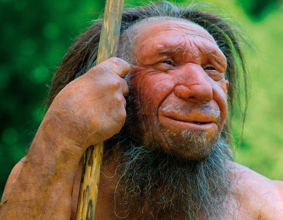 Scientists Sequence Y Chromosome DNA of Denisovans and Neanderthals