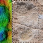 These 120,000-year-old footprints offer early evidence for humans in Arabia