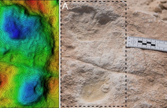 These 120,000-year-old footprints offer early evidence for humans in Arabia