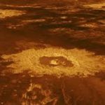 This is what life on Venus might look like – and how we’ll find it
