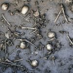 Warrior skeletons reveal Bronze Age Europeans couldn’t drink milk