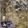 Archaeologists discover Iron Age massacre, frozen in time