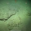 Massive coral reef ‘tower’ found off coast of Australia