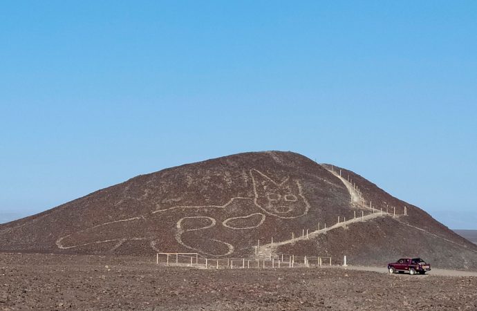 Curiosity about the cat – who drew a giant feline on a hillside on Peru?