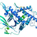 DeepMind develops AI solution to 50-year-old protein challenge