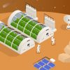 Farming on Mars will be a lot harder than ‘The Martian’ made it seem