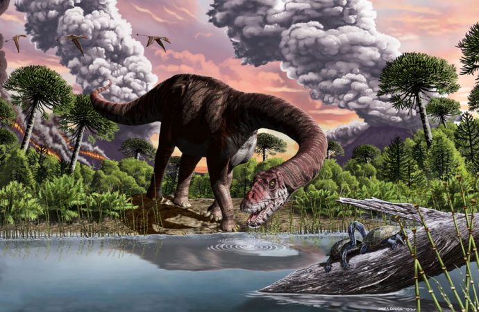 How massive long-necked dinosaurs rose to rule the Jurassic herbivores