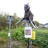 Japanese town deploys growling “Monster Wolf” robots to scare away wild bears