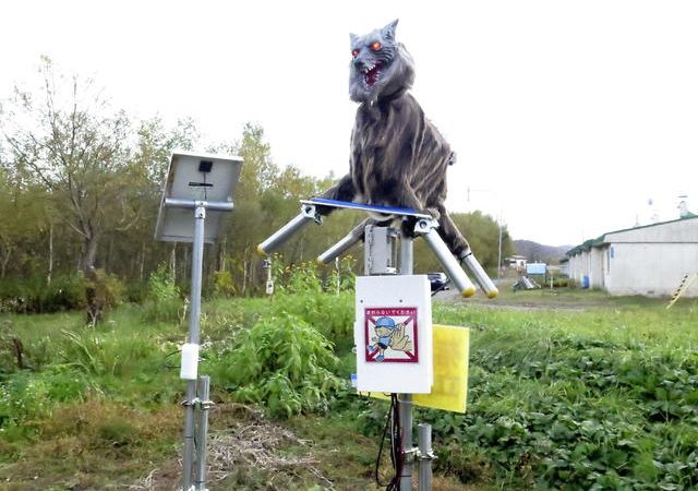 Japanese town deploys growling “Monster Wolf” robots to scare away wild bears
