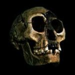 Identity of mysterious ‘Hobbits’ possibly found