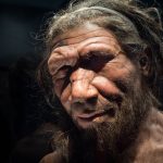 Neanderthals don’t deserve their bad, dim-witted reputation