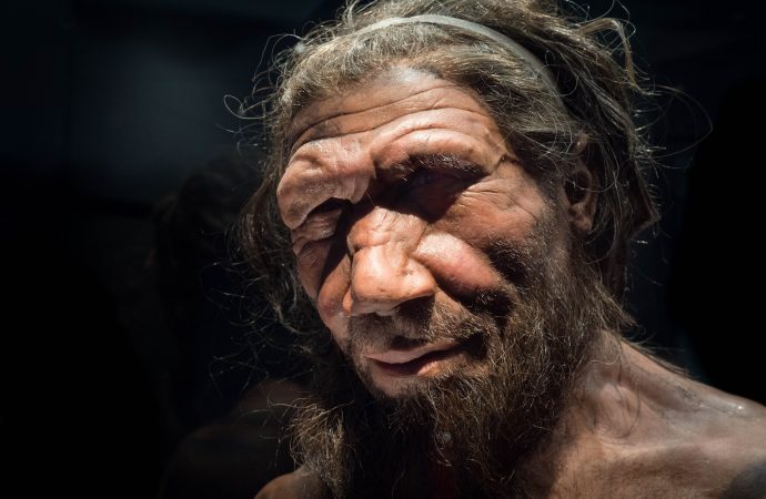 Neanderthals don’t deserve their bad, dim-witted reputation