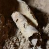 New Analysis Finds a Mysterious Second Author For One of The Dead Sea Scrolls