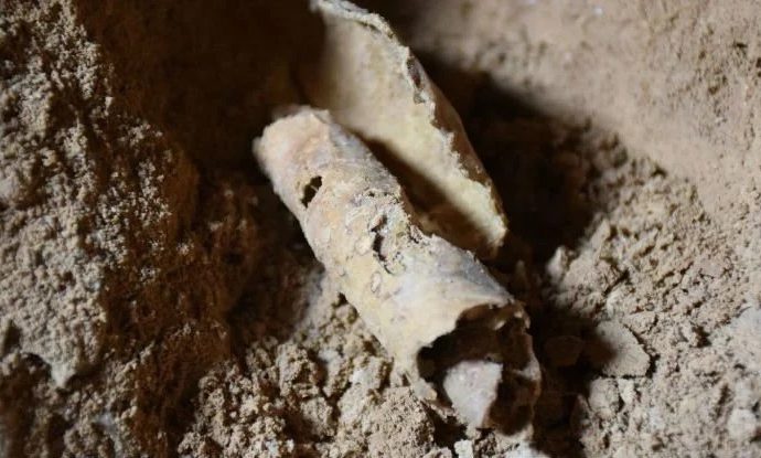 New Analysis Finds a Mysterious Second Author For One of The Dead Sea Scrolls