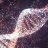 Researchers can now collect and sequence DNA from the air