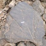 What triangular patterns on rocks may reveal about human ancestors