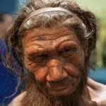 Tiny traces of DNA found in cave dust may unlock secret life of Neanderthals