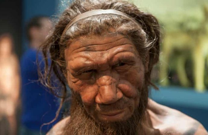 Tiny traces of DNA found in cave dust may unlock secret life of Neanderthals