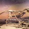 Dinosaurs were already struggling before asteroid strike that doomed them to extinction, study finds
