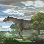 Giant rhino fossils in China show new species was ‘taller than giraffe’
