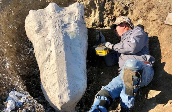 How a ranger stumbled upon one of the largest fossil finds in California history