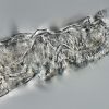 This animal survived 24,000 years frozen in the Siberian permafrost
