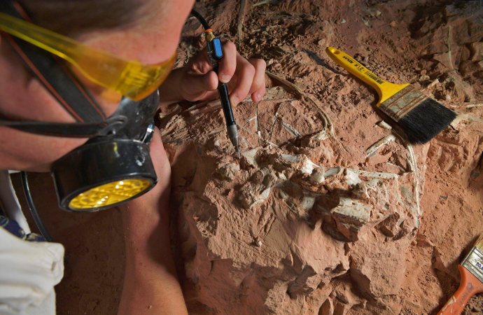 103-Million-Year-Old Dinosaur Bone Discovered in ‘Fossil Hotspot’