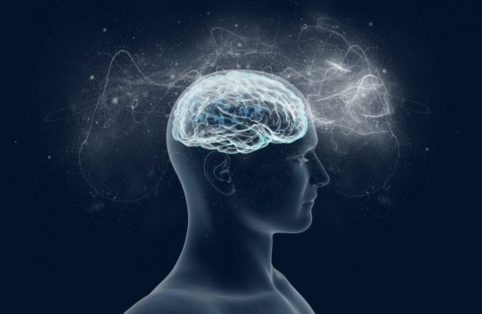 Can consciousness be explained by quantum physics? My research takes us a step closer to finding out