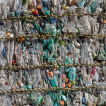 ‘Generator’ Turns Plastic Trash Into Edible Protein