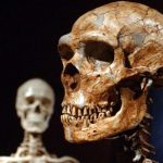Just 7% of our DNA is unique to modern humans, study shows