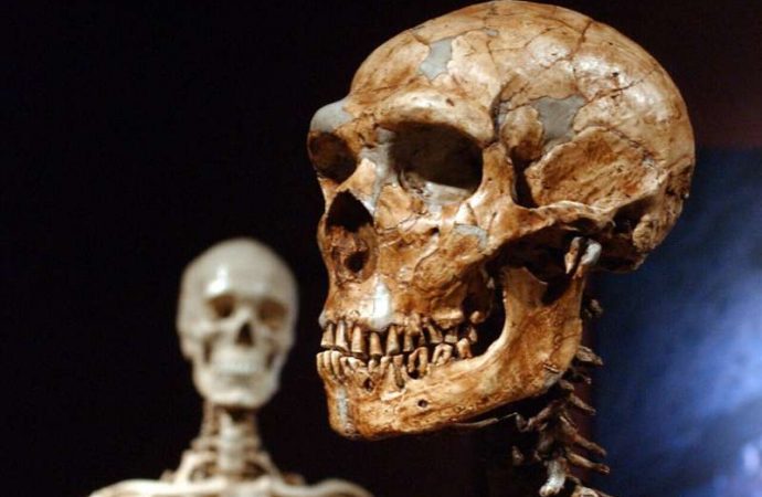 Just 7% of our DNA is unique to modern humans, study shows