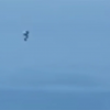 UFO or Iron Man? Mystery jetpack user spotted flying near L.A. airport