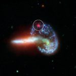 Spitzer Discovers Five Dust-Obscured Supernovae
