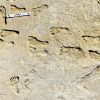 23,000-Year-Old Human Footprints Discovered in New Mexico