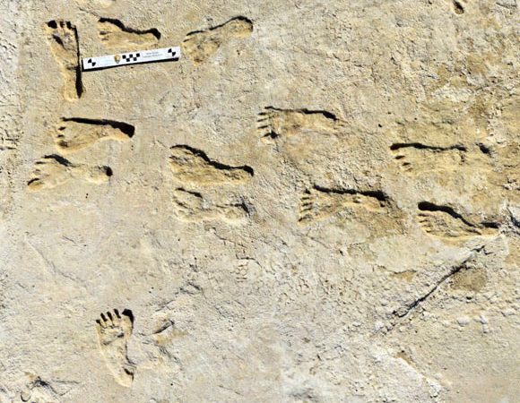 23,000-Year-Old Human Footprints Discovered in New Mexico