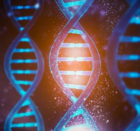 Scientists Say They’ve Finally Sequenced the Entire Human Genome. Yes, All of It.