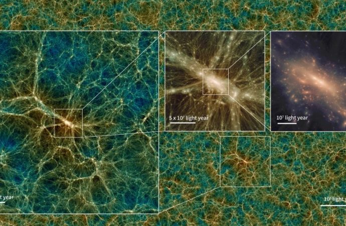 Travel through galaxies and the dark matter web in this stunning universe simulation